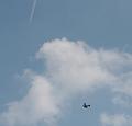 K T-20190825-150217_IMG_2421-7a
